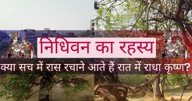 nidhivan ka rahasya in hindi, easy hindi blogs
