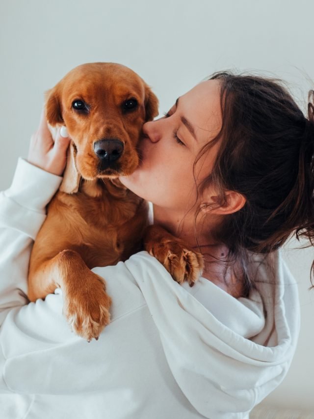 Top 15 Most Lovable Dog Breeds: 15 सबसे ज्यादा पसंद की जाने वाली और पालने योग्य नस्ल के कुत्ते