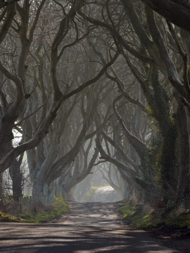 Haunted Roads in India: ये हैं भारत की सात सबसे डरावनी सड़कें, भूल कर भी न करें यहां पर विजिट