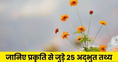 Amazing Facts in Hindi About Nature, Easy Hindi Blogs