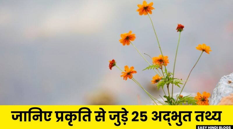 Amazing Facts in Hindi About Nature, Easy Hindi Blogs