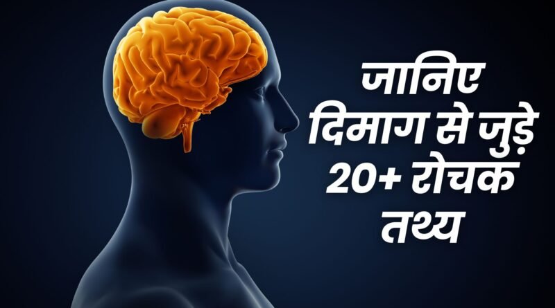 Psychology Facts About Brain in Hindi : जानिए दिमाग से जुड़े 20+ रोचक तथ्य