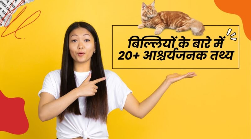 Facts About Cat in Hindi, easy hindi blogs