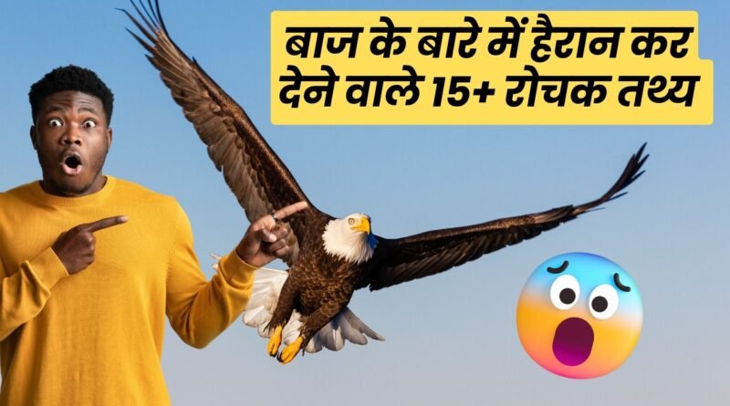 Facts About Eagle in Hindi, Easy Hindi Blogs